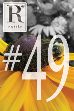 30 - 49cover