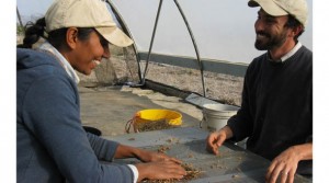 seedfarmpilchpaul